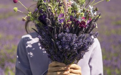 Referrals Build Your Business Faster