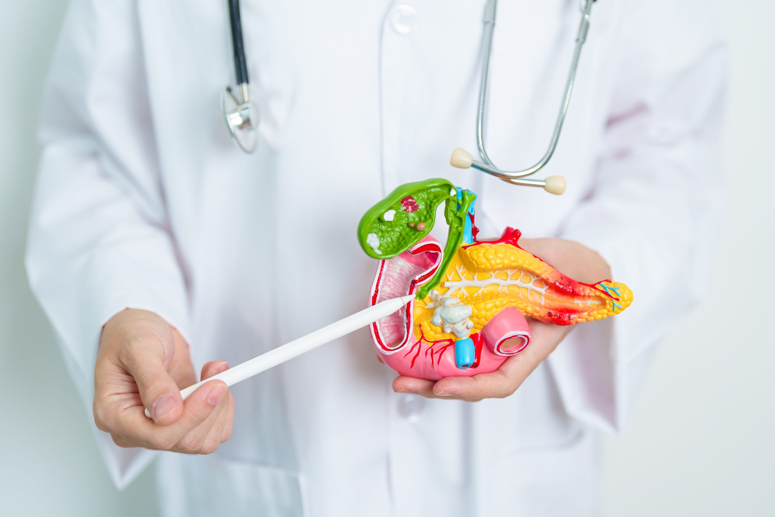 Celebrating Menopause with Roberta Morris